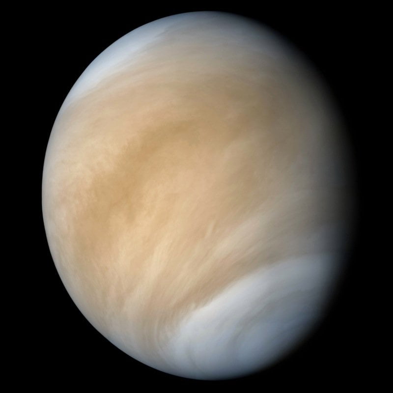 Venus parte I